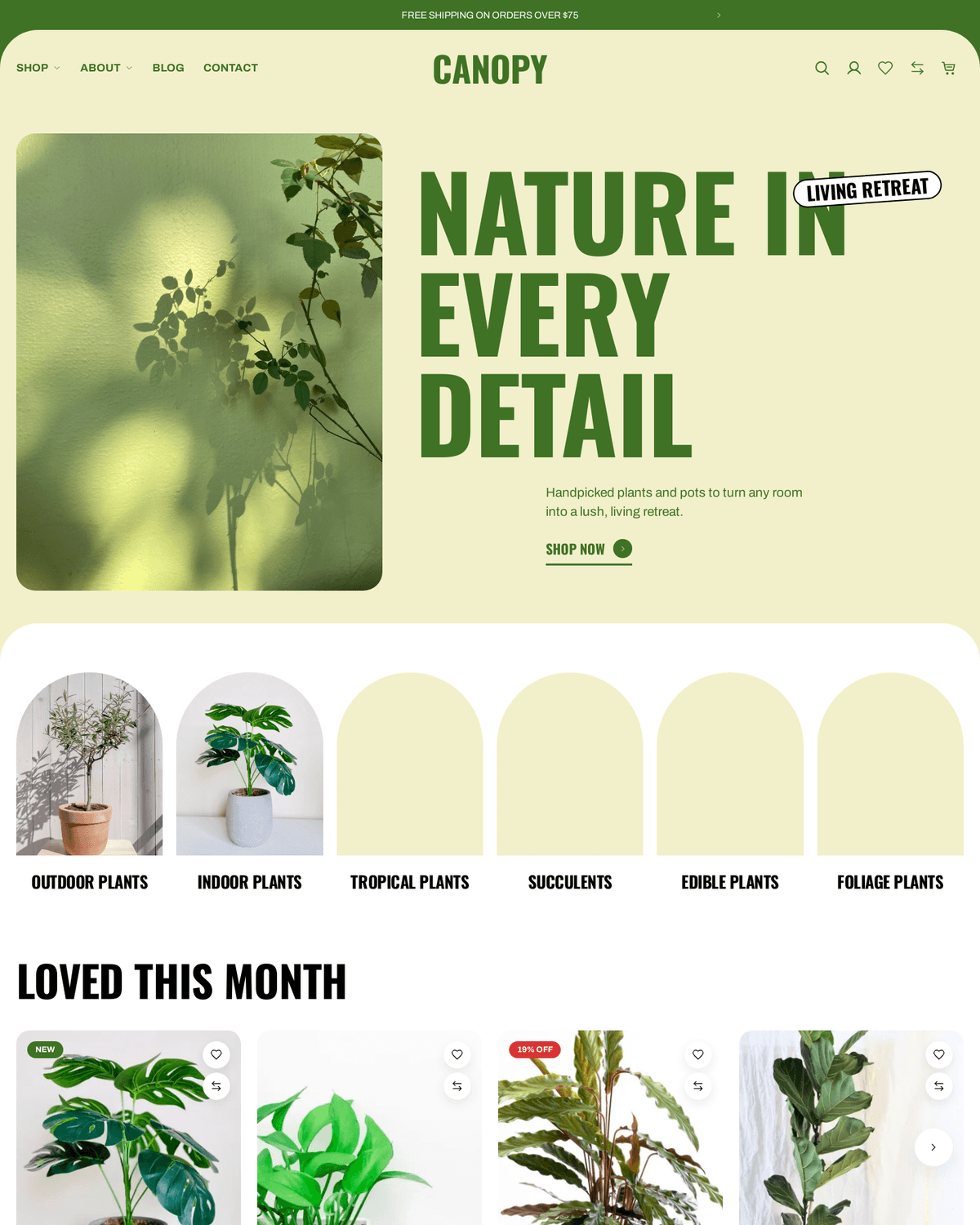 Canopy, preview